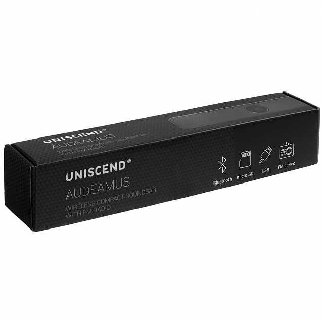 Беспроводная стереоколонка с FM-радио Uniscend Audeamus, черная с логотипом в Балашихе заказать по выгодной цене в кибермаркете AvroraStore