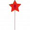 Леденец на палочке «Звезда» с логотипом в Балашихе заказать по выгодной цене в кибермаркете AvroraStore