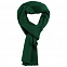 Шарф Stout, зеленый с логотипом в Балашихе заказать по выгодной цене в кибермаркете AvroraStore