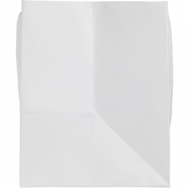 Пакет Ample S, белый с логотипом в Балашихе заказать по выгодной цене в кибермаркете AvroraStore