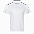 Рубашка поло Рубашка мужская 04 Бирюзовый с логотипом в Балашихе заказать по выгодной цене в кибермаркете AvroraStore