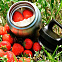 Термос для еды Hot & Cold Food Jar 300, стальной с логотипом в Балашихе заказать по выгодной цене в кибермаркете AvroraStore