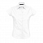 Рубашка женская EXCESS с логотипом в Балашихе заказать по выгодной цене в кибермаркете AvroraStore