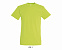 Фуфайка (футболка) REGENT мужская,Зеленое яблоко XXS с логотипом в Балашихе заказать по выгодной цене в кибермаркете AvroraStore