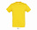 Фуфайка (футболка) REGENT мужская,Арми XXS с логотипом в Балашихе заказать по выгодной цене в кибермаркете AvroraStore