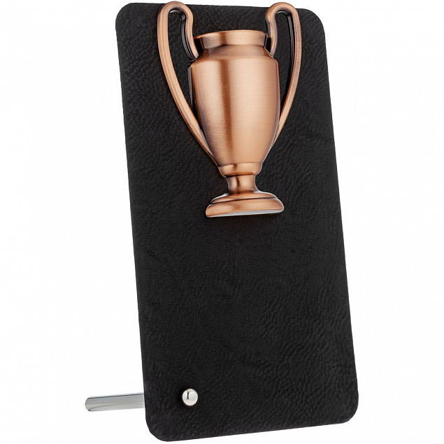 Награда Triumph Bronze с логотипом в Балашихе заказать по выгодной цене в кибермаркете AvroraStore