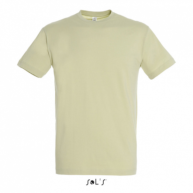 Фуфайка (футболка) REGENT мужская,Зеленый шалфей М с логотипом в Балашихе заказать по выгодной цене в кибермаркете AvroraStore