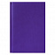Ежедневник недатированный City Canyon 145х205 мм, без календаря, фиолетовый с логотипом в Балашихе заказать по выгодной цене в кибермаркете AvroraStore