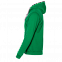 Толстовка мужская 17 Зелёный с логотипом в Балашихе заказать по выгодной цене в кибермаркете AvroraStore