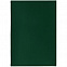Обложка для паспорта Shall, зеленая с логотипом в Балашихе заказать по выгодной цене в кибермаркете AvroraStore