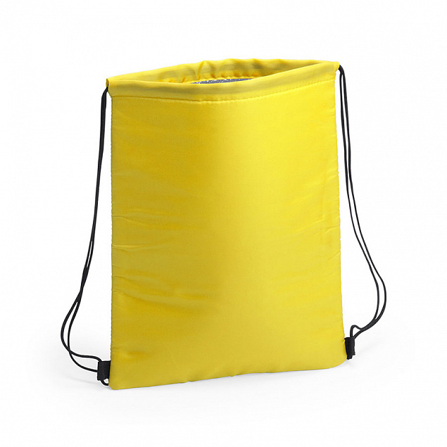 Термосумка NIPEX, желтый, полиэстер, алюминивая подкладка, 32 x 42  см с логотипом в Балашихе заказать по выгодной цене в кибермаркете AvroraStore