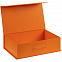 Коробка Big Case, оранжевая с логотипом в Балашихе заказать по выгодной цене в кибермаркете AvroraStore