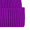 Шапка Yong, фиолетовая с логотипом в Балашихе заказать по выгодной цене в кибермаркете AvroraStore