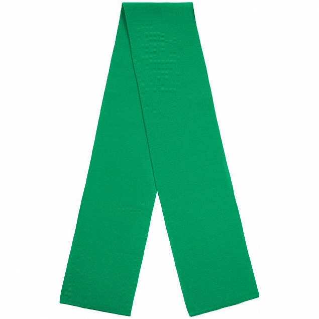 Шарф Urban Flow, зеленый с логотипом в Балашихе заказать по выгодной цене в кибермаркете AvroraStore
