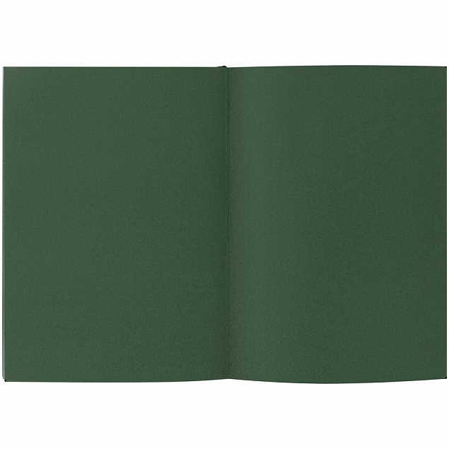 Ежедневник Flat Maxi, недатированный, зеленый с логотипом в Балашихе заказать по выгодной цене в кибермаркете AvroraStore