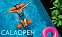 'Надувной гамак CALAOPEN' с логотипом в Балашихе заказать по выгодной цене в кибермаркете AvroraStore