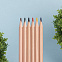 Набор цветных карандашей KINDERLINE small,6 цветов с логотипом в Балашихе заказать по выгодной цене в кибермаркете AvroraStore