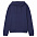 Худи унисекс Phoenix, голубое с логотипом в Балашихе заказать по выгодной цене в кибермаркете AvroraStore