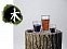 Набор малых стаканов Elements Wood с логотипом в Балашихе заказать по выгодной цене в кибермаркете AvroraStore