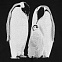 Свитшот детский Like a Penguin, черный с логотипом в Балашихе заказать по выгодной цене в кибермаркете AvroraStore