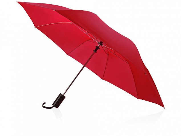 Зонт складной Андрия с логотипом в Балашихе заказать по выгодной цене в кибермаркете AvroraStore