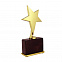Статуэтка "Звезда", золото с логотипом в Балашихе заказать по выгодной цене в кибермаркете AvroraStore