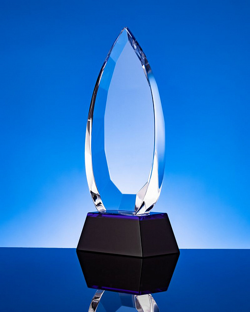 Награда Droplet с логотипом в Балашихе заказать по выгодной цене в кибермаркете AvroraStore