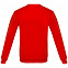 Толстовка «Цитаты. Довлатов. Вранье», красная с логотипом в Балашихе заказать по выгодной цене в кибермаркете AvroraStore