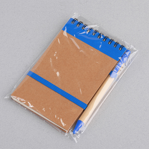 Блокнот с ручкой "Papyrus", синий с логотипом в Балашихе заказать по выгодной цене в кибермаркете AvroraStore