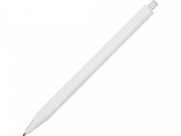 Ручка пластиковая шариковая Pigra P01 с логотипом в Балашихе заказать по выгодной цене в кибермаркете AvroraStore