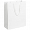 Пакет Ample M, белый с логотипом в Балашихе заказать по выгодной цене в кибермаркете AvroraStore