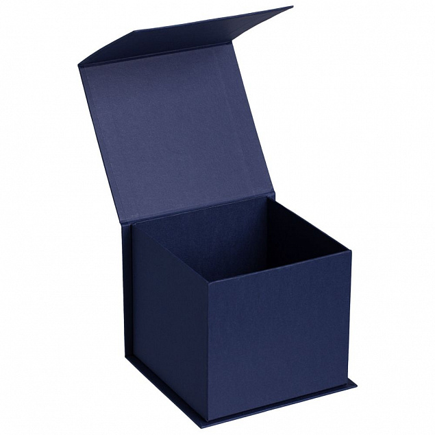 Коробка Alian, синяя с логотипом в Балашихе заказать по выгодной цене в кибермаркете AvroraStore