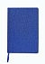 Блокнот Eliza с логотипом в Балашихе заказать по выгодной цене в кибермаркете AvroraStore