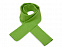 Шарф Dunant, зеленое яблоко с логотипом в Балашихе заказать по выгодной цене в кибермаркете AvroraStore