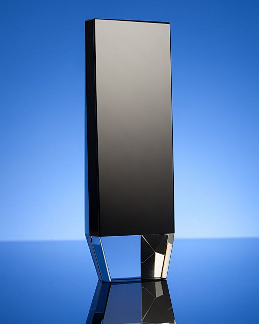 Награда Statum, малая с логотипом в Балашихе заказать по выгодной цене в кибермаркете AvroraStore