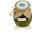Варенье из ели и мяты в подарочной обертке с логотипом в Балашихе заказать по выгодной цене в кибермаркете AvroraStore
