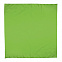 Платок-бандана BANDANA - Светло-зеленый YY с логотипом в Балашихе заказать по выгодной цене в кибермаркете AvroraStore