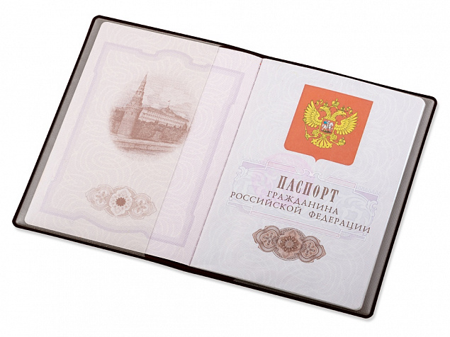 Обложка для паспорта «Favor» с логотипом в Балашихе заказать по выгодной цене в кибермаркете AvroraStore