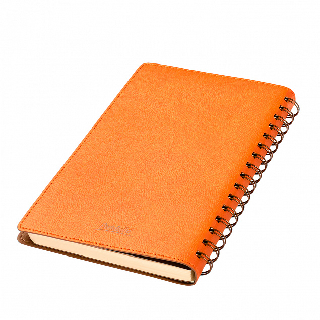 Ежедневник Portobello Trend, Vista, недатированный, оранжевый/коричневый с логотипом в Балашихе заказать по выгодной цене в кибермаркете AvroraStore
