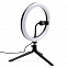 Светильник-лампа,белый,черный с логотипом в Балашихе заказать по выгодной цене в кибермаркете AvroraStore