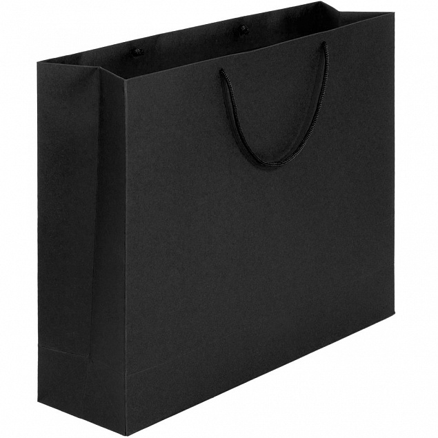Пакет Ample L, черный с логотипом в Балашихе заказать по выгодной цене в кибермаркете AvroraStore