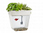 Набор для выращивания растений и ухода за рыбкой Акваферма с логотипом в Балашихе заказать по выгодной цене в кибермаркете AvroraStore