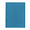 Бизнес-блокнот "Biggy", B5 формат, голубой, серый форзац, мягкая обложка, в клетку с логотипом в Балашихе заказать по выгодной цене в кибермаркете AvroraStore