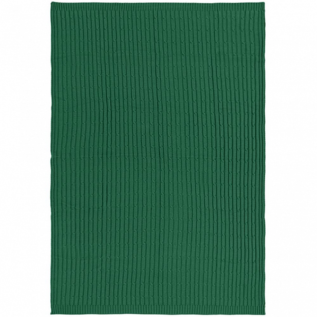 Плед Remit, темно-зеленый с логотипом в Балашихе заказать по выгодной цене в кибермаркете AvroraStore