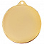 Медаль Regalia, большая, золотистая с логотипом в Балашихе заказать по выгодной цене в кибермаркете AvroraStore