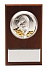 Плакетка малая «Тигр на монетах» с возможностью персонализации с логотипом в Балашихе заказать по выгодной цене в кибермаркете AvroraStore