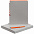 Набор Flexpen, серебристо-оранжевый с логотипом в Балашихе заказать по выгодной цене в кибермаркете AvroraStore