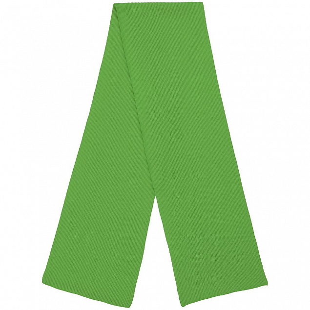 Шарф Life Explorer, зеленый с логотипом в Балашихе заказать по выгодной цене в кибермаркете AvroraStore