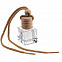 Ароматизатор воздуха Flava Ice, ментол с логотипом в Балашихе заказать по выгодной цене в кибермаркете AvroraStore