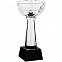 Кубок Cupture, малый с логотипом в Балашихе заказать по выгодной цене в кибермаркете AvroraStore